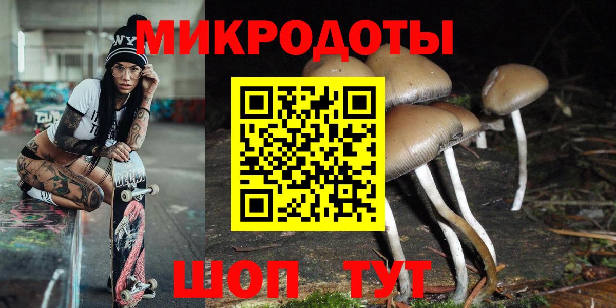 Галлюциногенные грибы Cubensis  Галлюциногенные грибы мицелий  Вход с VPN  Ростов Великий 